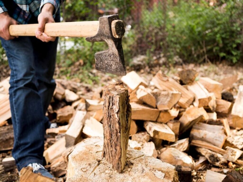 stump Grinding