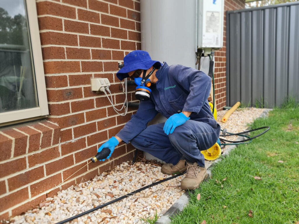 The Benefits of Residential Pest Control in Sydney for Families