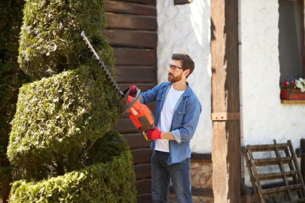 hedge trimming near me