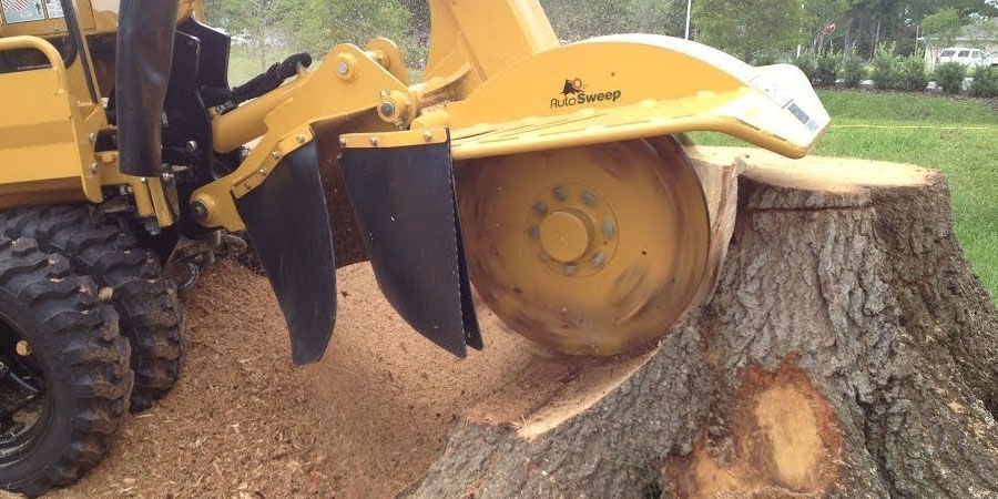 Stump Grinding Service